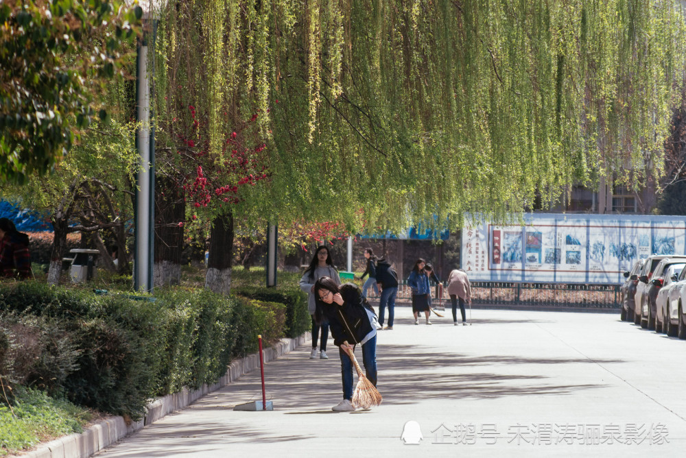 这是一组反映陕西省渭南市临渭区渭南师范学院朝阳校区春色校园的图集