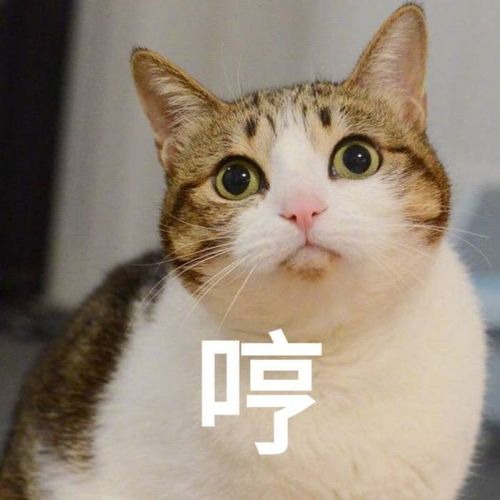 表情无高清萌猫水印:生气时也要萌萌哒,迷死搞笑小河图鱼红烧图片