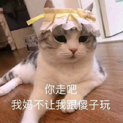 超萌表情画法:生气了,开始哄吧柴犬表情包猫咪图片