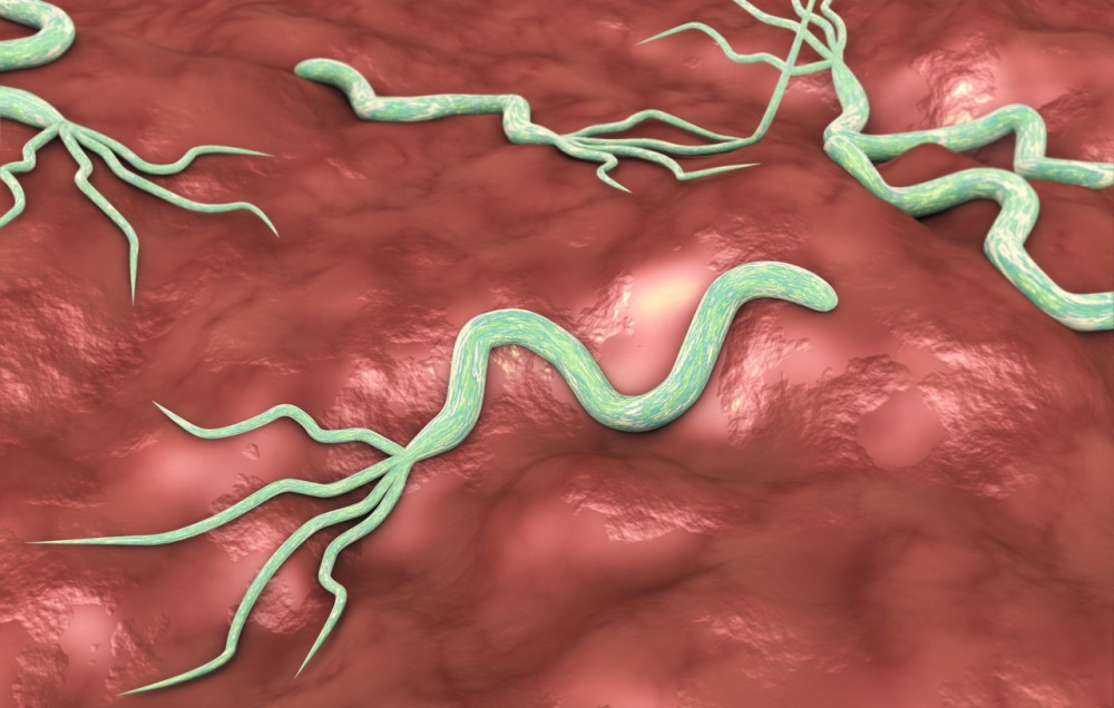 感染幽门螺杆菌会致口臭?医生:多做1事,多吃2