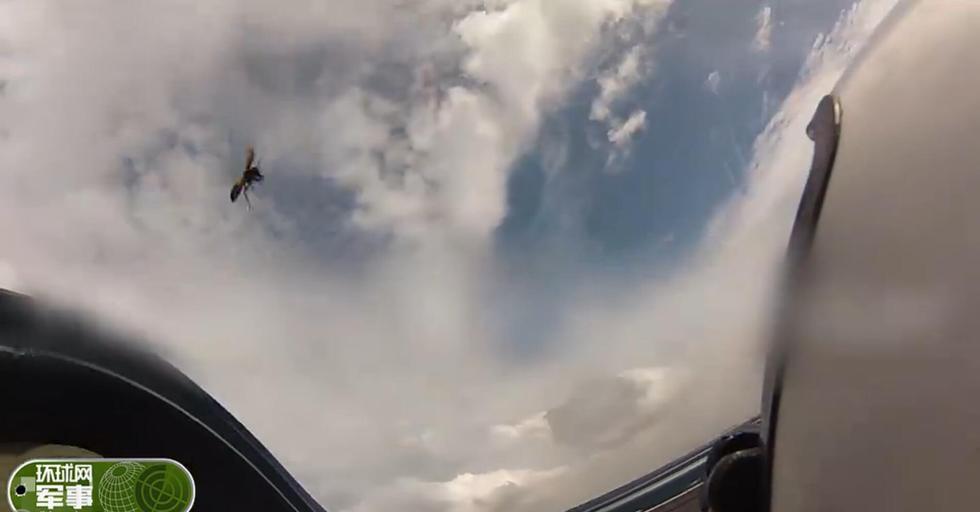 空中惊魂:越南苏30座舱里飞进大马蜂