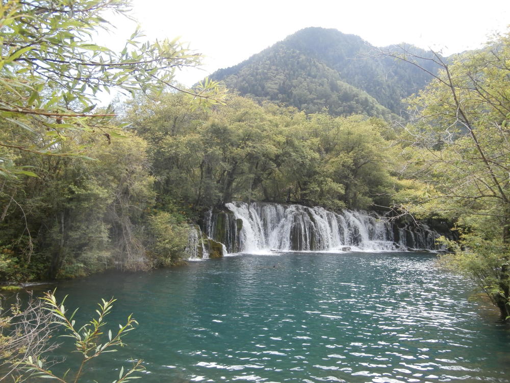 昔日九寨沟:水上森林箭竹海瀑布