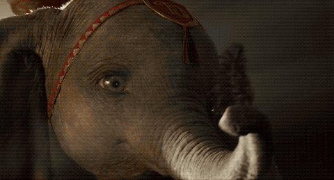 《小飞象》也要变暗黑童话?