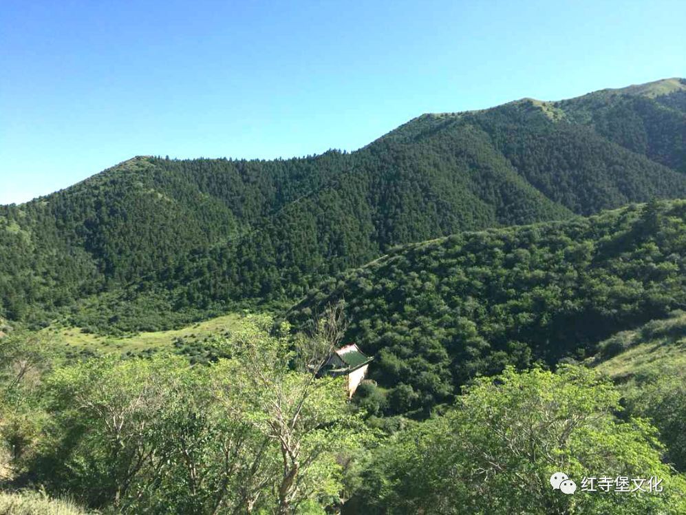 红寺堡区,宁夏,罗山