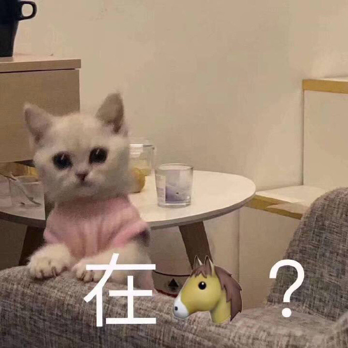 女朋友专用小猫表情包:抱住圆滚滚的自己