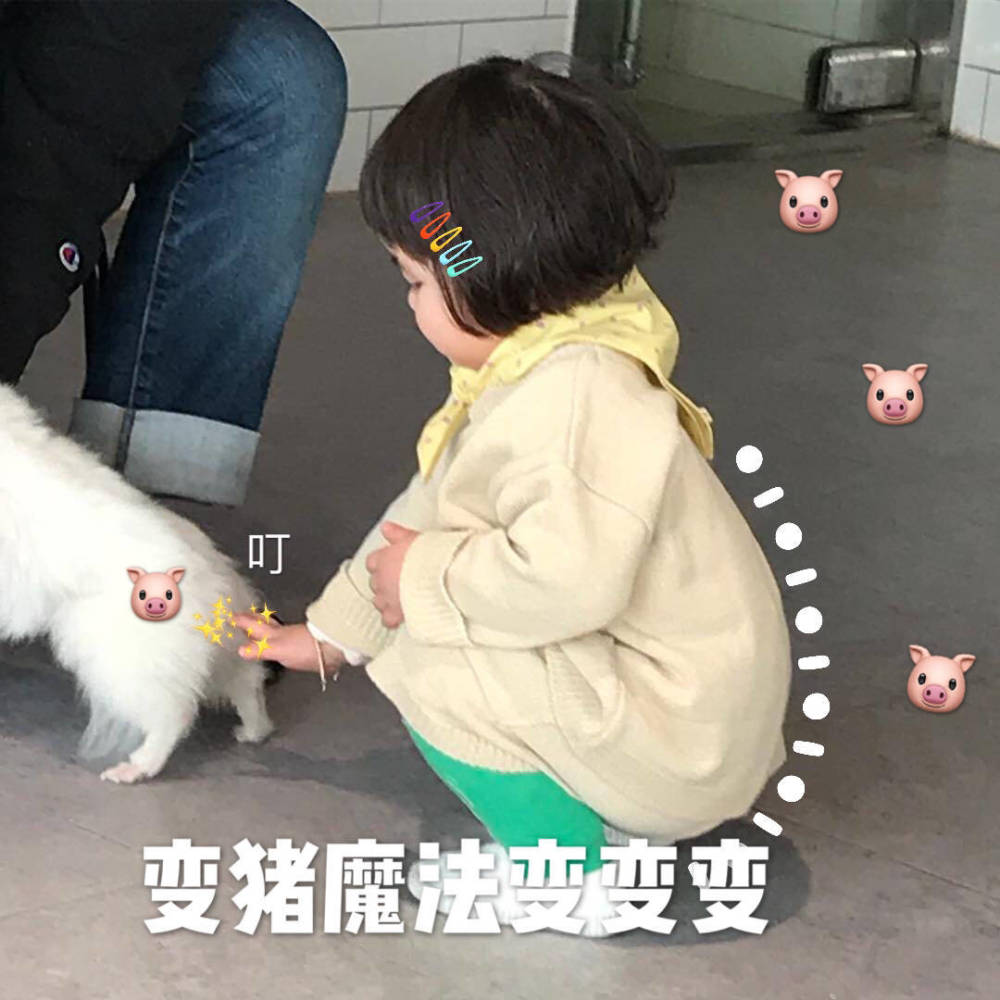 搞笑可爱的表情包,变猪魔法变变变