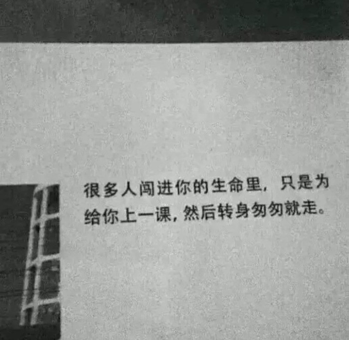 动漫,时尚,黑白色系,丧色,文字