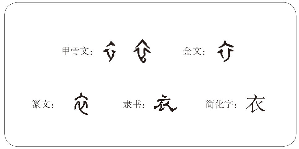 "衣"字的字形演变 "衣"在甲骨文中写成