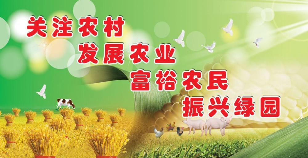 让农民在家门口创业致富