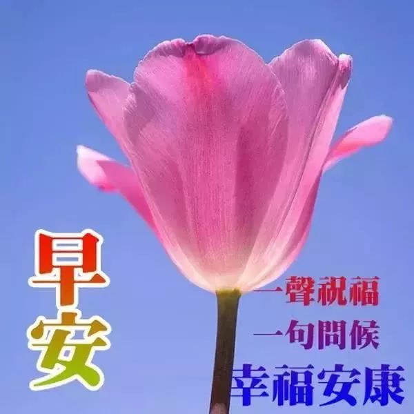 漂亮的早安祝福语动态美图,最新的早上好祝福送大家