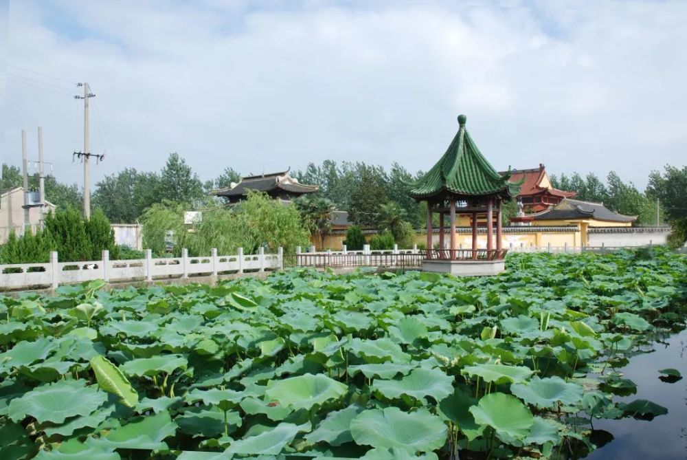 宝应夏集乡村桃花旅游节旅游指南,给你一个完美的桃花