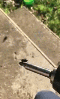 搞笑gif趣图:大妹子这是想表达什么?秀色可餐?