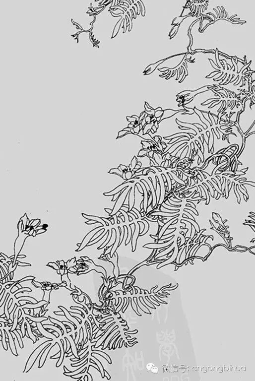 叶永昶白描花鸟作品