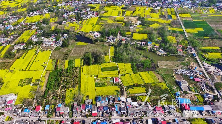2019年3月31日,无人机拍摄的安徽省六安市裕安区城南镇王家行村乡村