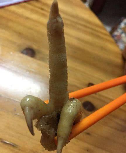 搞笑gif:这是哪位做饭阿姨顿的鸡爪了,是对生活的不满
