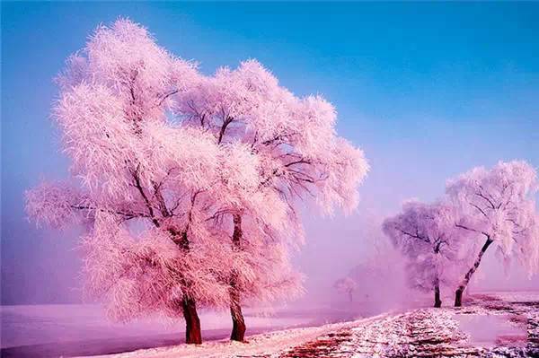 东北雪景艳丽照人