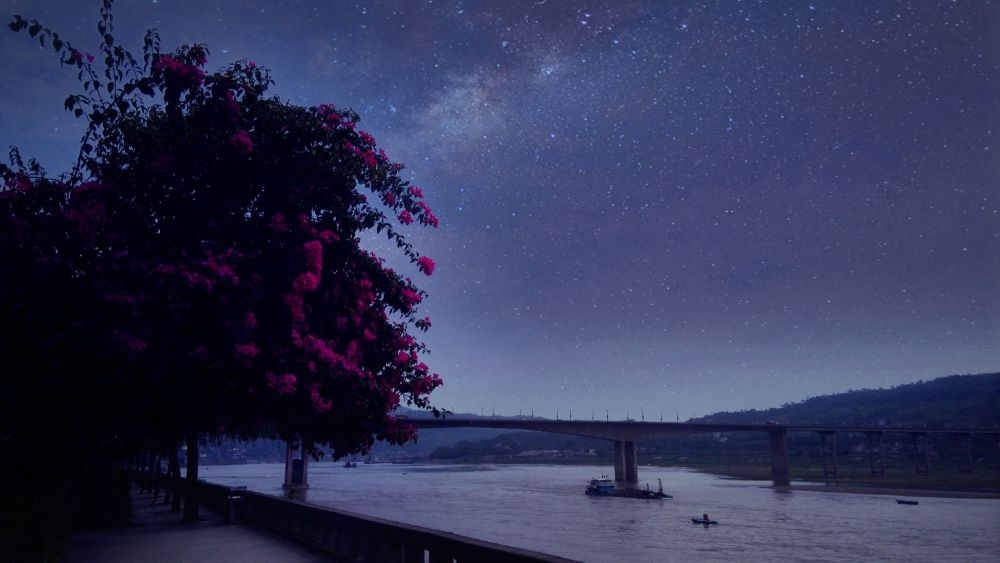 有些人一经遇见便一眼万年。美文篇-天天