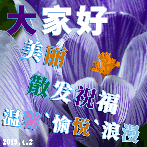 星期二早上好问候语 星期二早上好祝福语动态图片表情