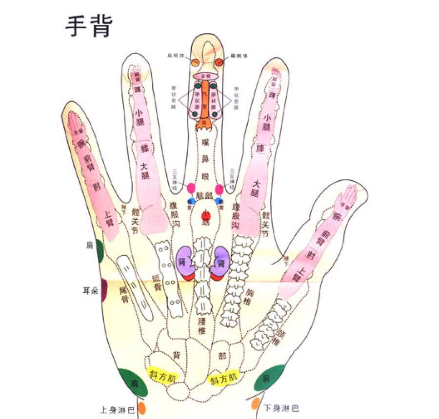 随着手诊法一同兴起的手疗法,中医养生,五脏六腑,面诊