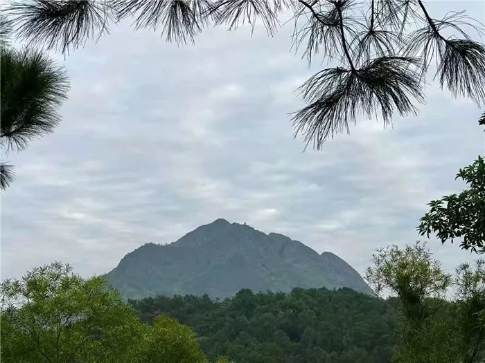 莲花山,巨峰山,南澳九尖山