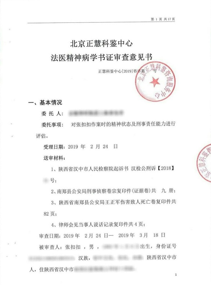 法医精神病学书证审查意见书/图源自网络