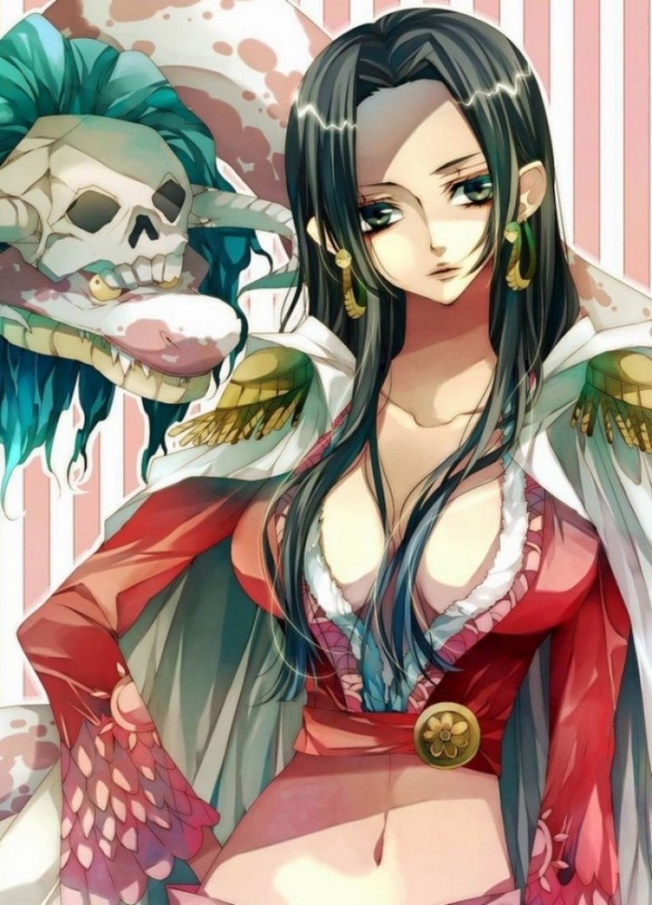 小浪认为最有可能成为路飞妻子只有女帝,娜美,罗宾,薇薇公主.