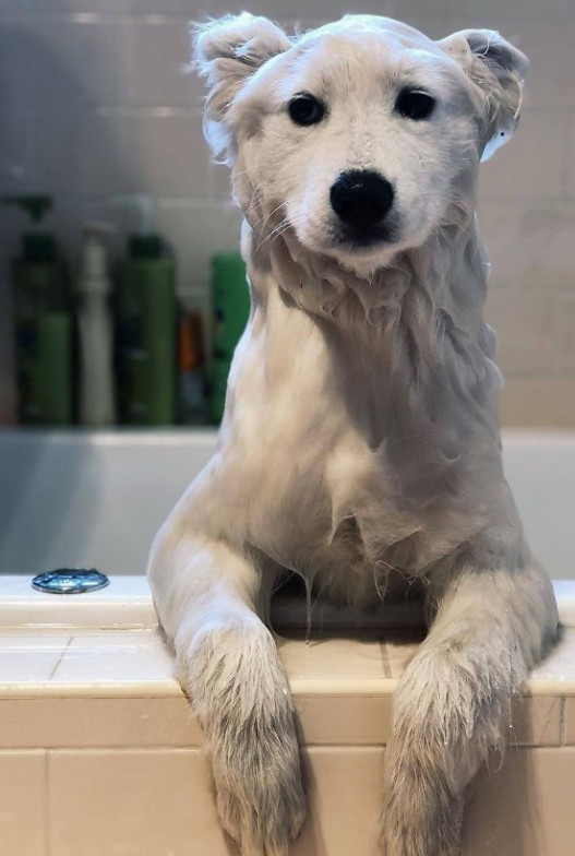 搞笑图片,爆笑图片,图片合集