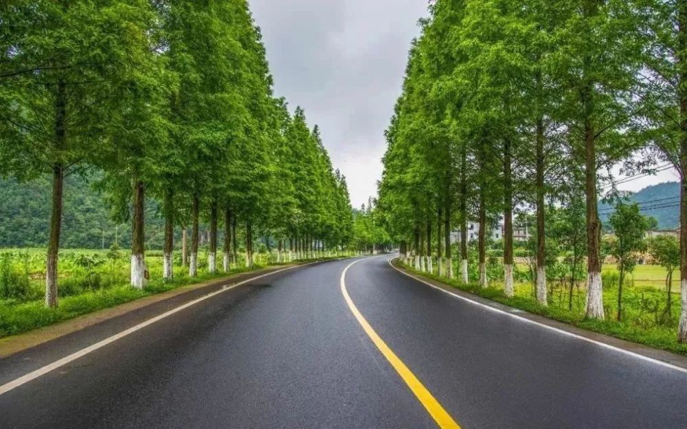 在路上遇见人间四月天 这些春日路线周末就走起