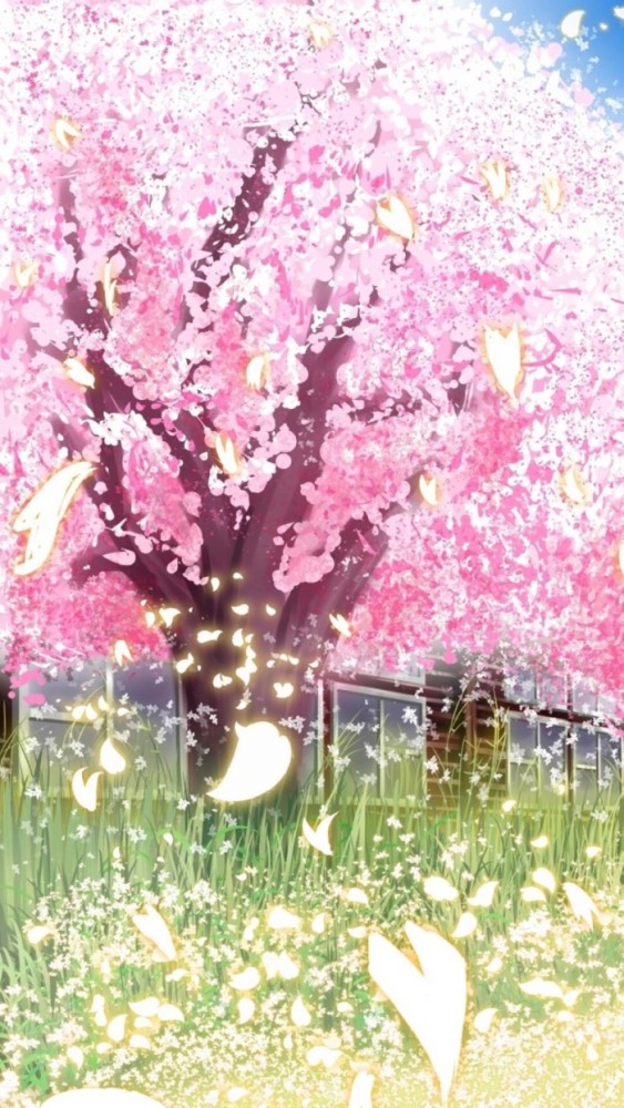 最近"二次元"樱花壁纸火了:落尽樱花不见君,轻绘梨花泪沾衣