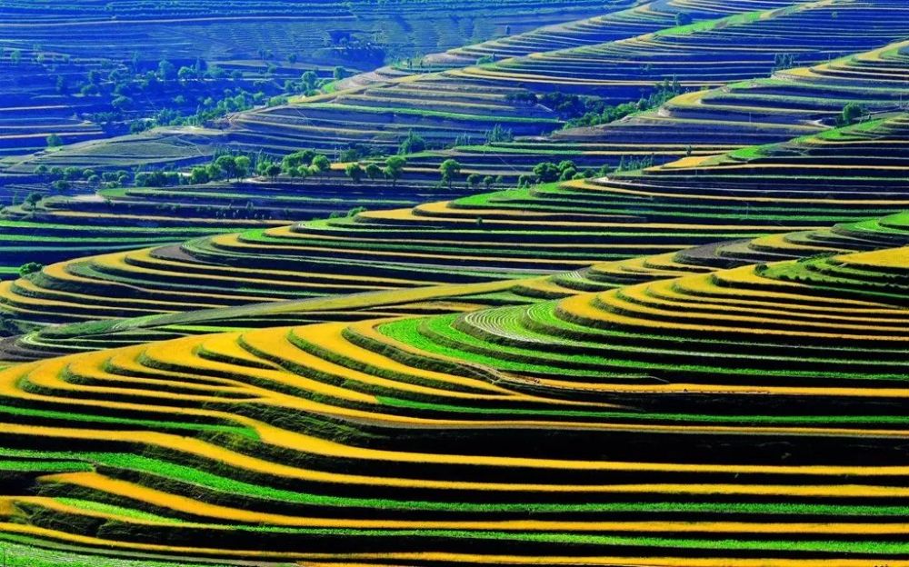 彭阳县,宁夏,冯庄乡,梯田,先进县