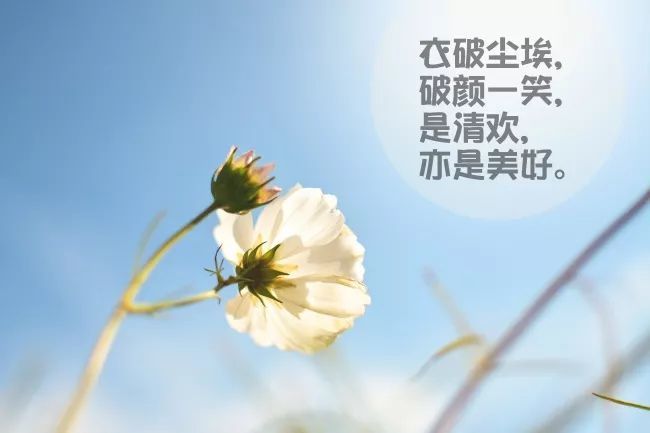 就得以诚相待,做不到将心比心,也就别表面上还假装跟人好的跟穿一条