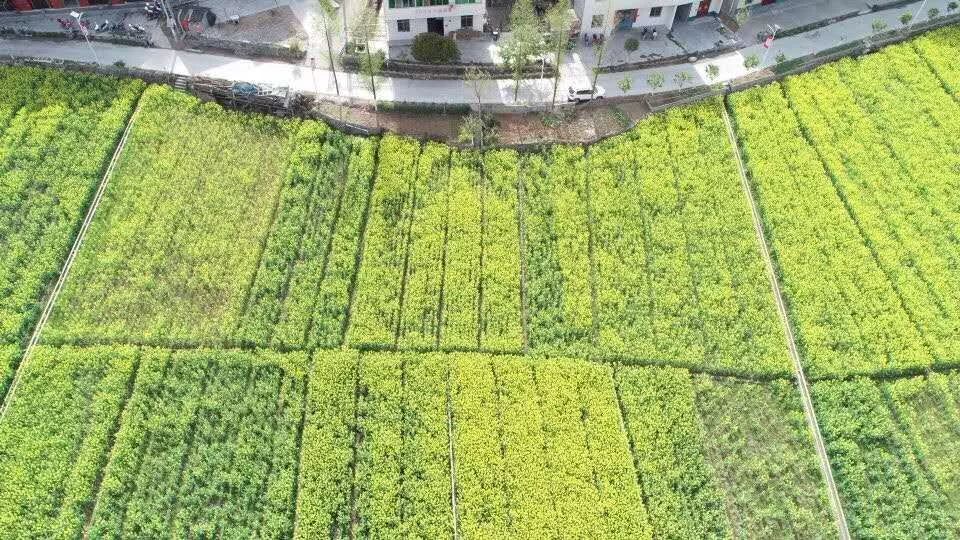 郧西人口_郧西县第七次全国人口普查开始啦(2)