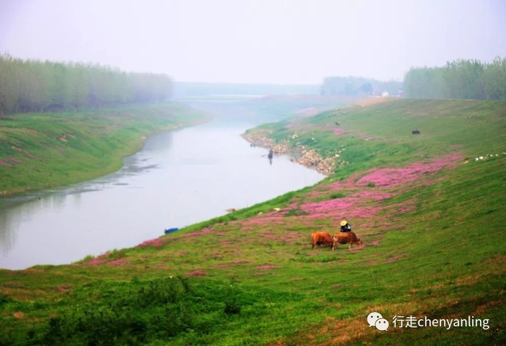 枝江七星台多少人口_枝江七星台镇图片