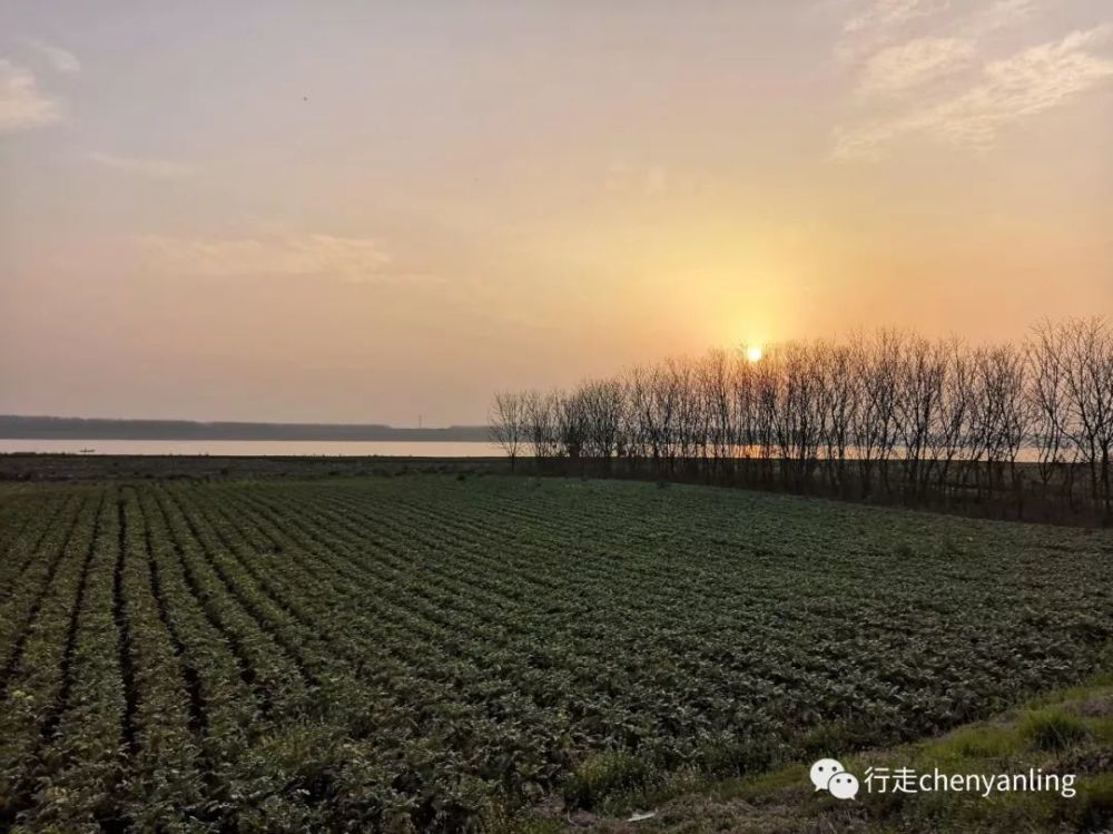 枝江七星台多少人口_枝江七星台镇图片