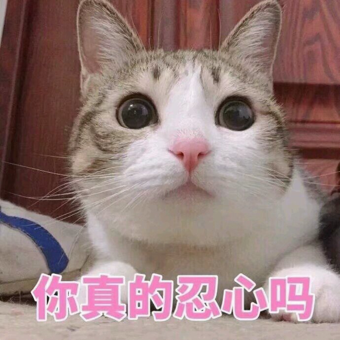 搞笑可爱的表情包,厉害厉害,我再鼓一次掌