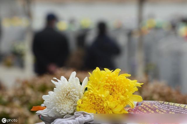 人们纷纷来到陵园祭奠逝去的亲人.祭奠的鲜花(图片来自icphoto)