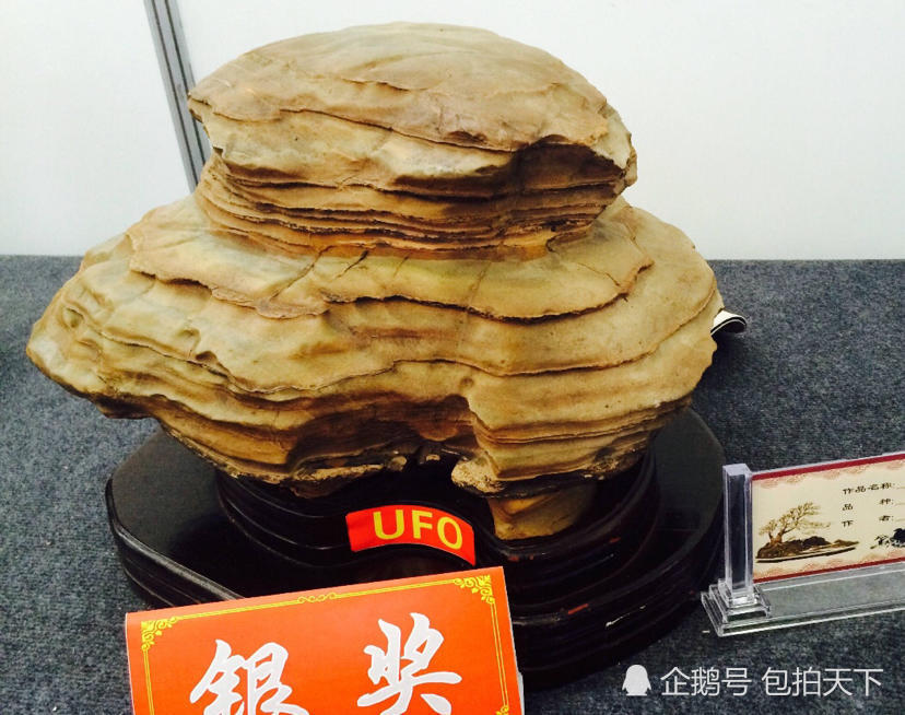 精品奇石欣赏:千层石,作品名称:天外来客