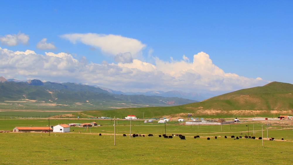 地形平坦,水草丰美,蜚声中外的远东第一大牧场——山丹军马场就建于此