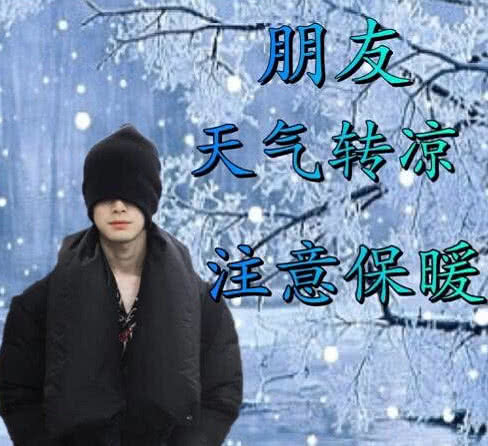 猫要走?老鼠用表情包送别:朋友再见