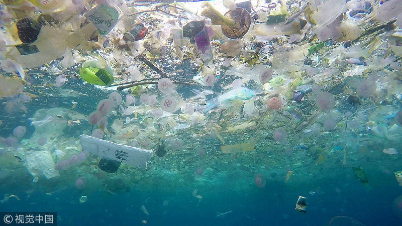 海洋垃圾到处蔓延,人类遭殃了
