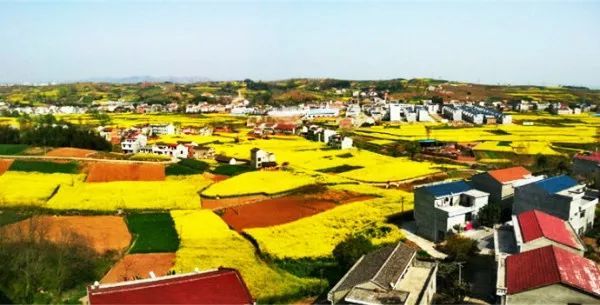 郑拐村人口_清丰县单拐村图片(3)