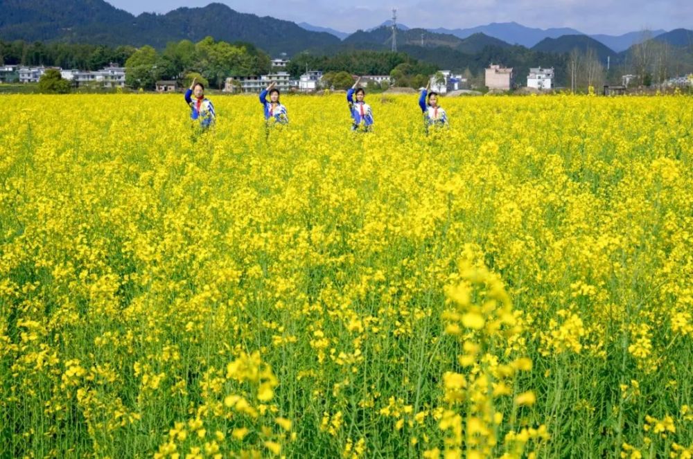 儿童急走追黄蝶飞入菜花无处寻全诗