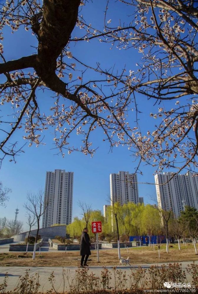 遵化市区人口_遵化市区土地规划图(2)
