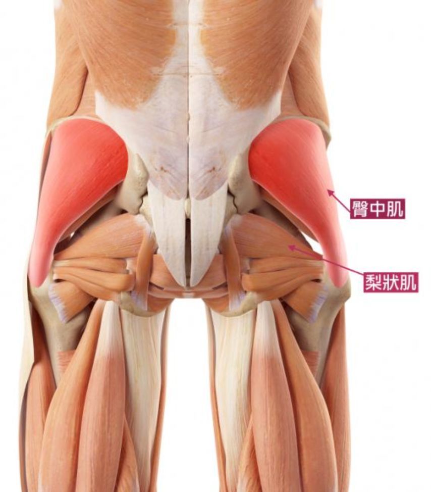 大腿内侧肥肉多?一起来了解一下