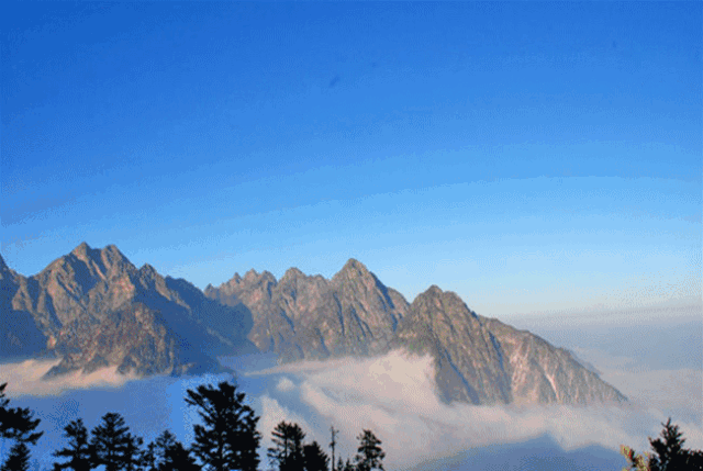 采茶,爬山,赏花……成都周边的绝美风景,不容错过