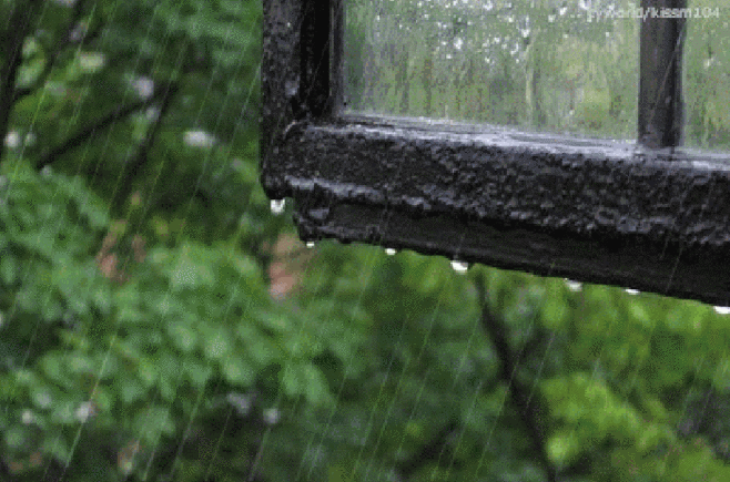 沾衣欲湿杏花雨吹面不寒杨柳风描写雨的诗你会背几首