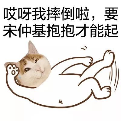 猫头宋仲基表情包