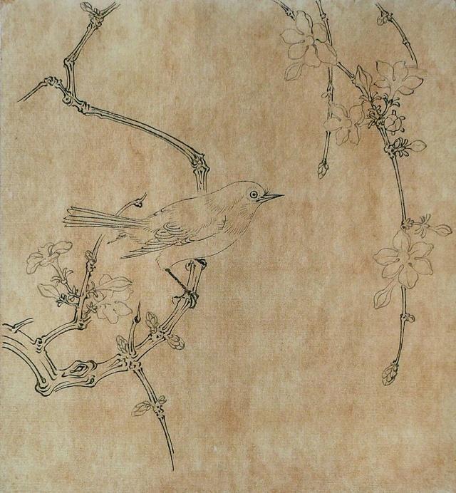 工笔画《迎春花与绣眼鸟》画法步骤