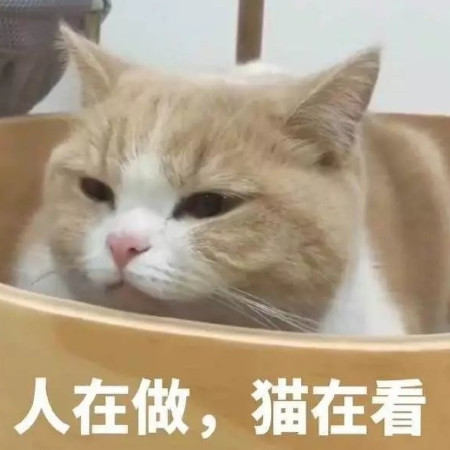 最近"火了"熊猫头表情包:臣妾有些乏了,先行告退