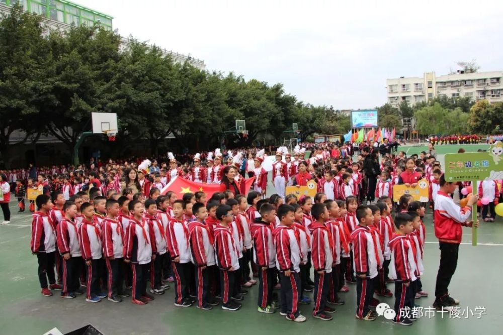 十陵小学:国际范儿!国际范儿!牵手大运会,灵娃向前冲!